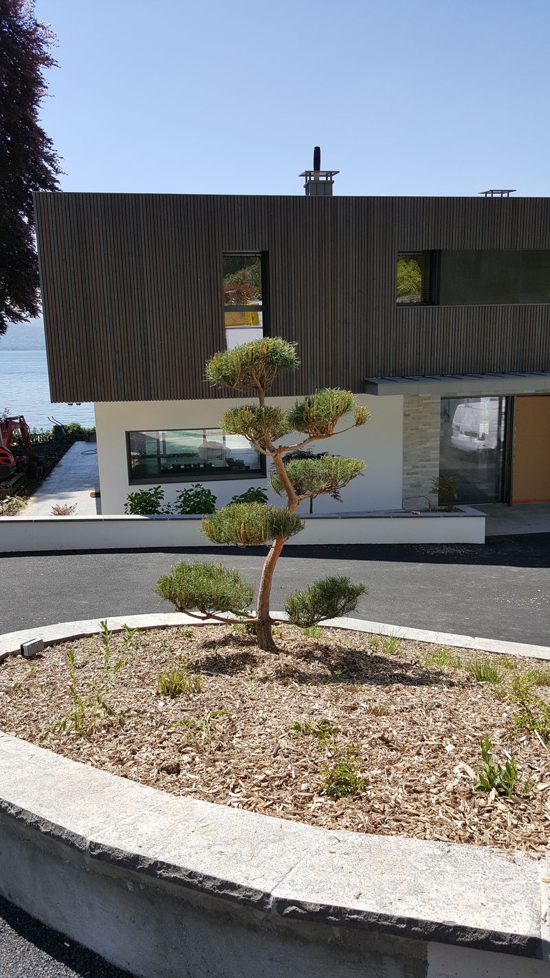 Creation Annecy Espace Vert Annecy Haute Savoie 2